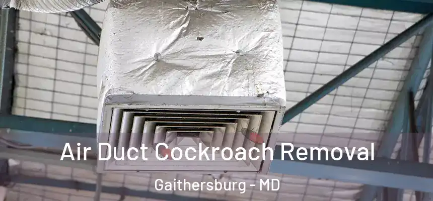 Air Duct Cockroach Removal Gaithersburg - MD