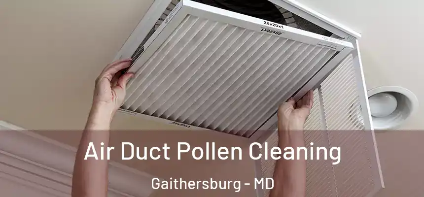Air Duct Pollen Cleaning Gaithersburg - MD