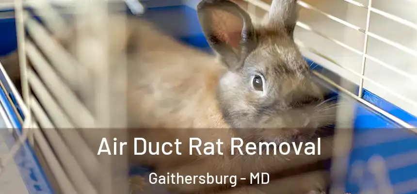  Air Duct Rat Removal Gaithersburg - MD
