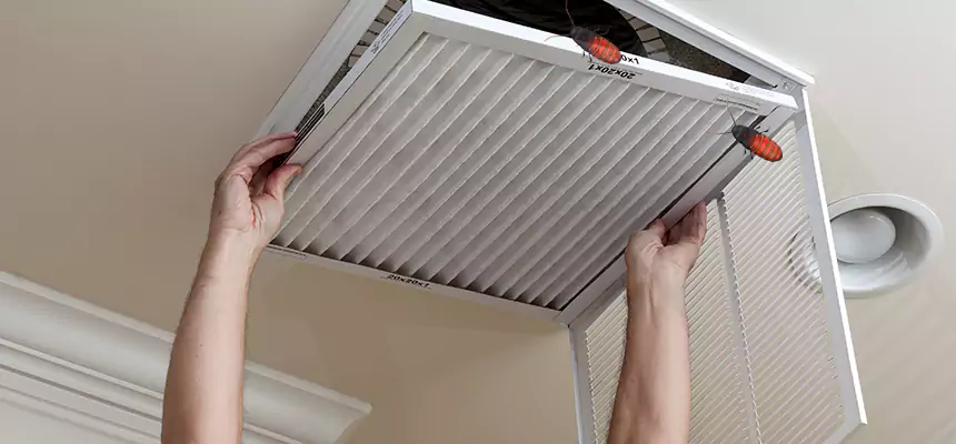 Preventive Cockroach-Proofing for Ducts in Gaithersburg