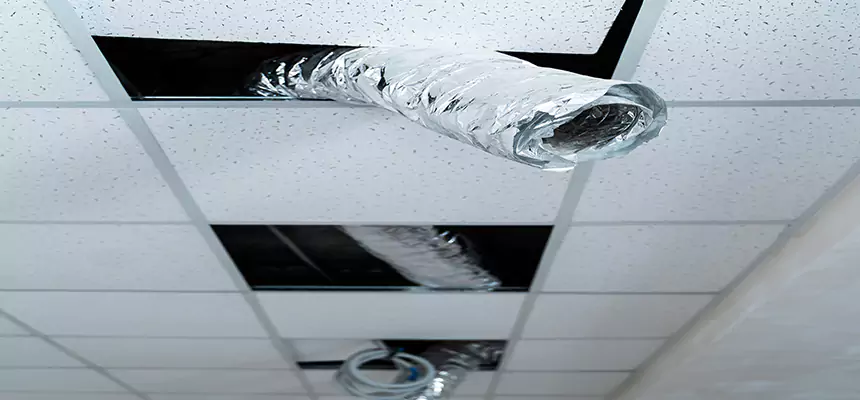 Our Air Duct Pet Hair Removal Services in Gaithersburg, MD