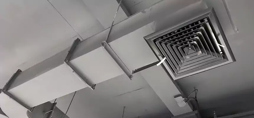 Restorative Allergy Relief Vent Cleaning – Coil, Blower & Housing Detail in Gaithersburg