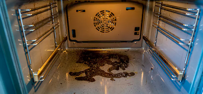 Our Dryer Vent Mold Cleaning Services in Gaithersburg, MD