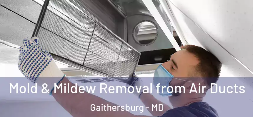 Mold & Mildew Removal from Air Ducts Gaithersburg - MD