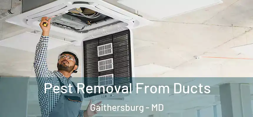 Pest Removal From Ducts Gaithersburg - MD