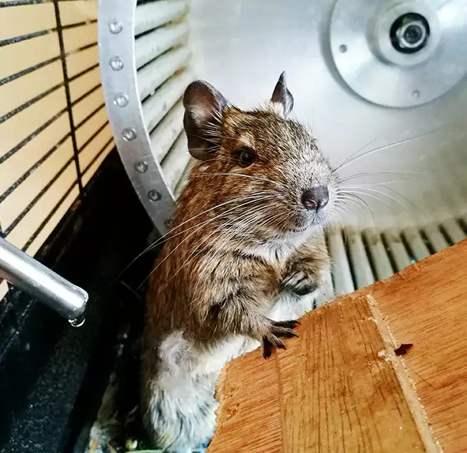 Why Homeowners & Businesses Trust Us Gaithersburg, MD?